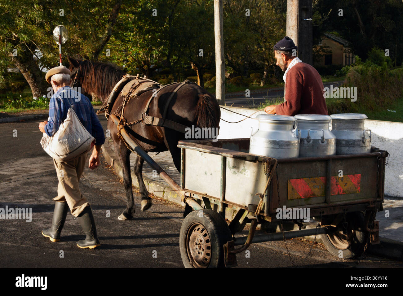 Farmer carrying milk churns on horse and cart in Sete Cidades on Sao