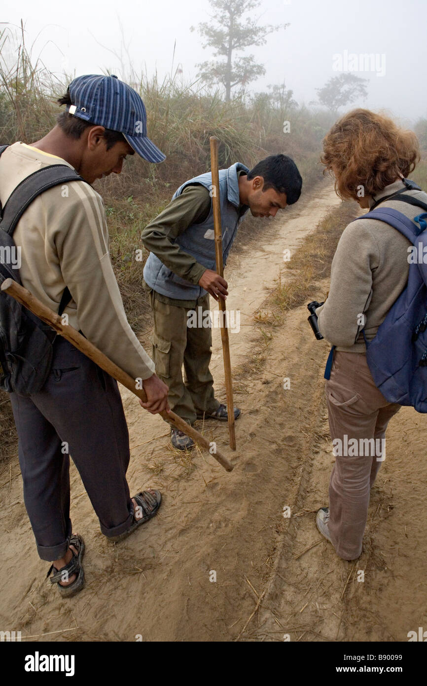 Tracing wildlife footsteps in Royal Chitwan National Park Sauraha Nepal Stock Photo