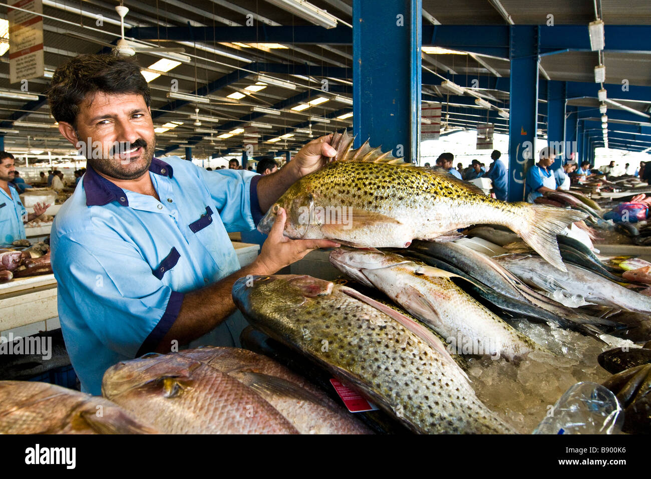 Fish market Deira Dubai United Arab Emirates Stock Photo Alamy