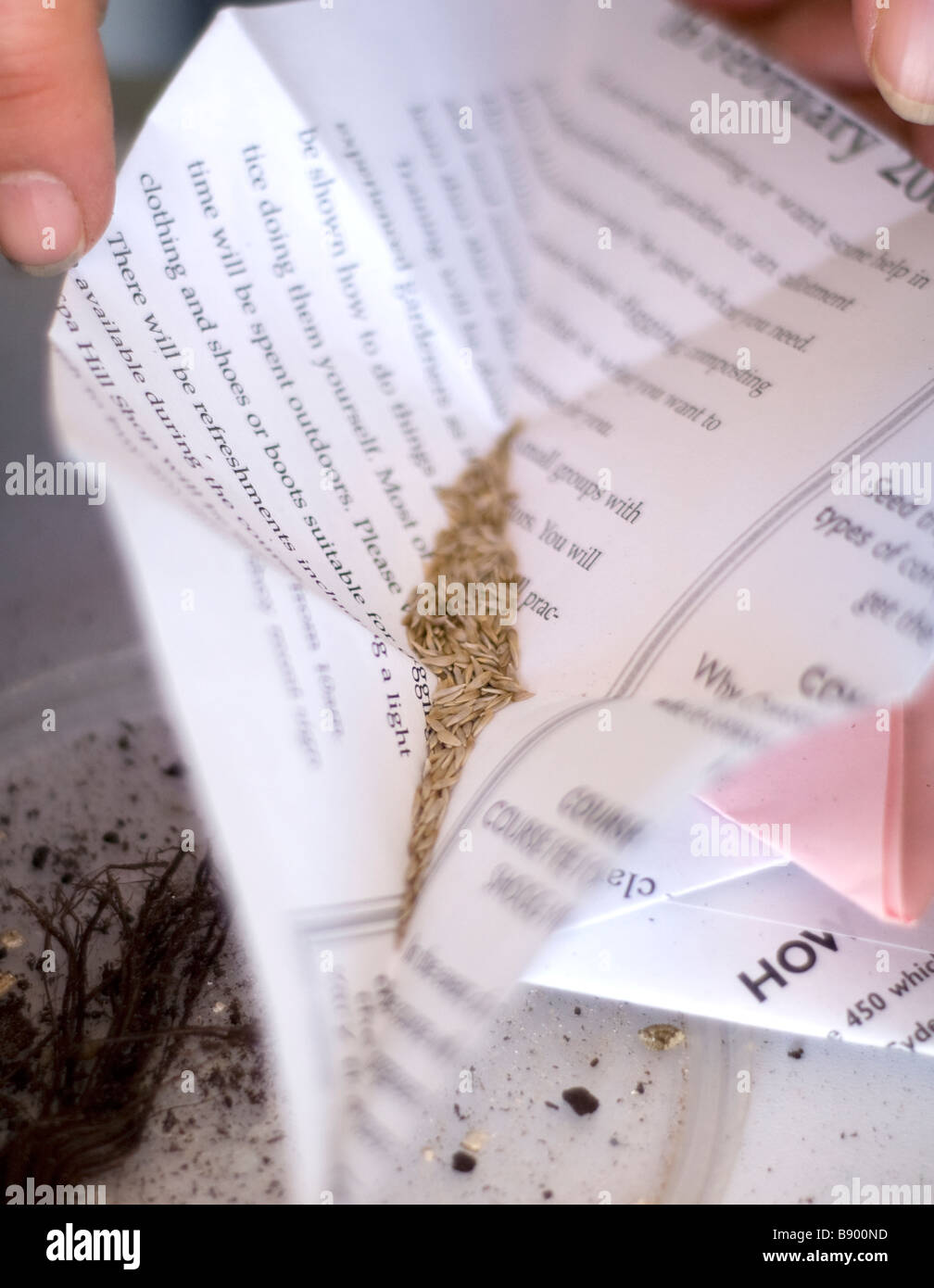seeds in folded paper Stock Photo - Alamy