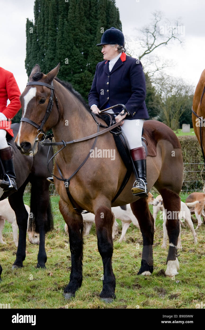 Master of the Essex and Suffolk Hunt Suffolk England Stock Photo
