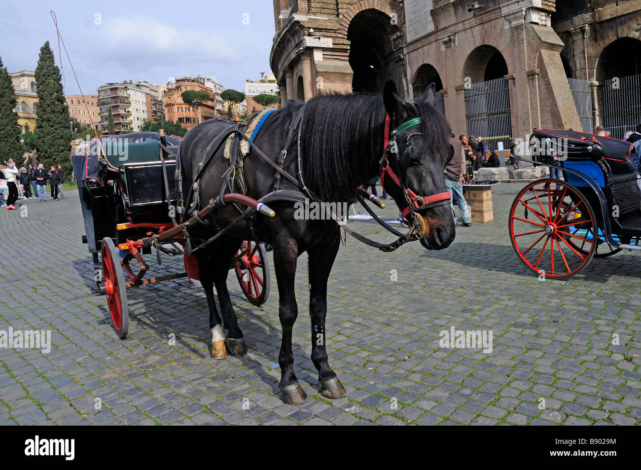 The Colosseum in Rome Italy Stock Photo - Alamy