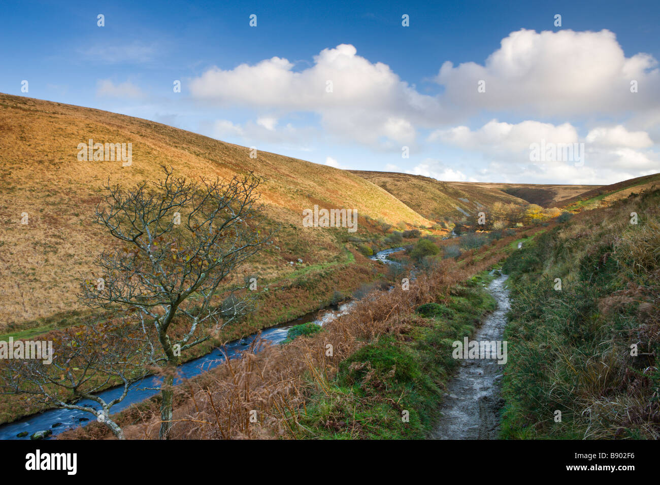 Badgworthy Water and the Doone Valley in Autumn Exmoor National Park Somerset England Stock Photo