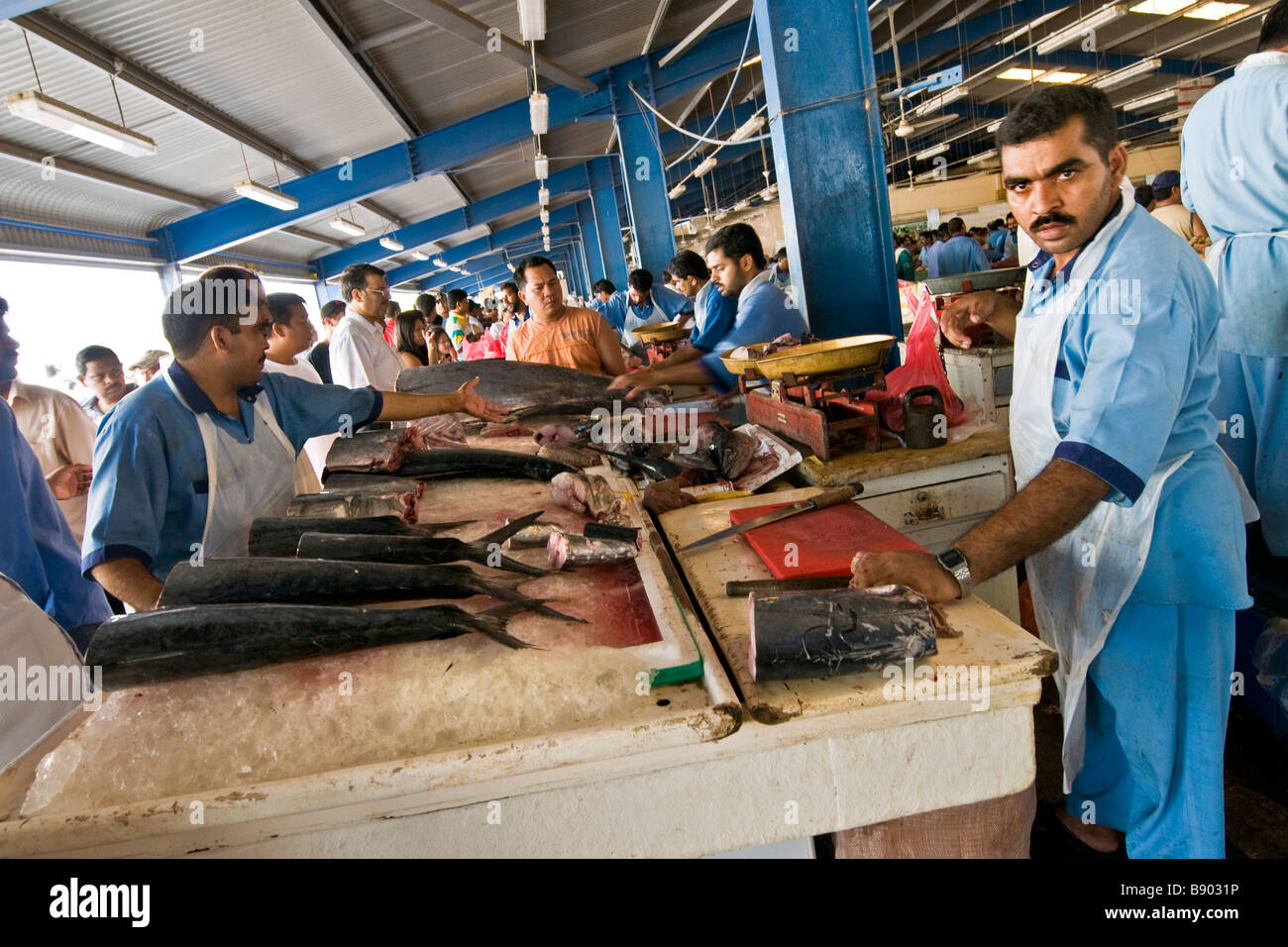 Fish market Deira Dubai United Arab Emirates Stock Photo Alamy