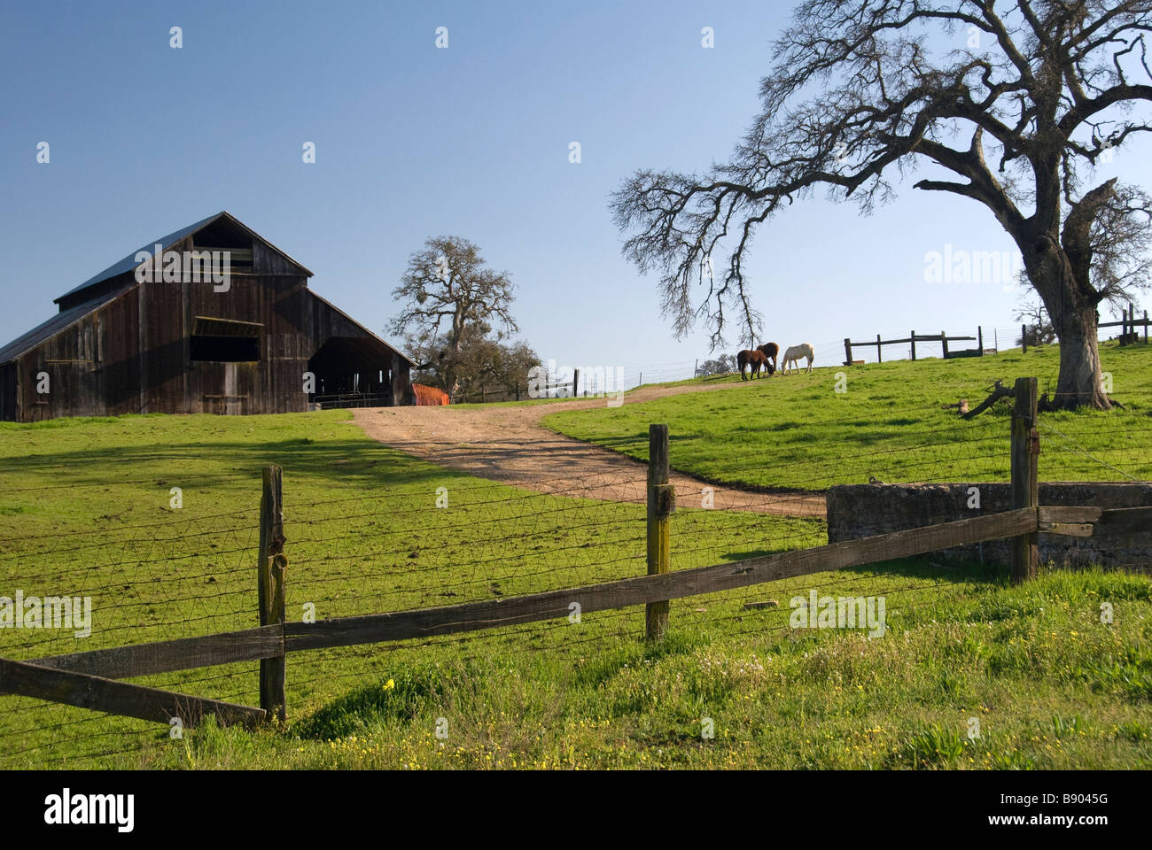 Country barn on a farm near Rock Creek Road in the Central Valley of Northern California Stock Photo