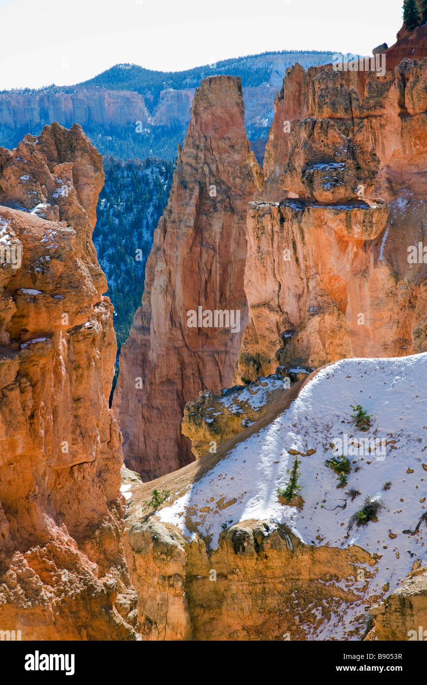 Near Natural Bridge in the southern part of Bryce Canyon National Park Utah Stock Photo