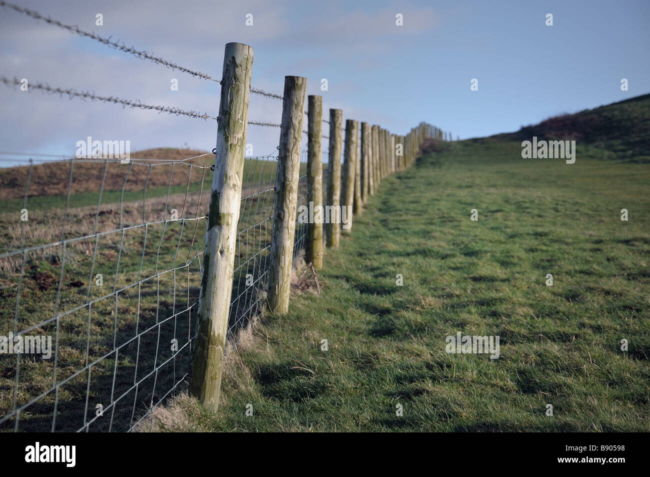 Country fence of wooden posts and wire Stock Photo