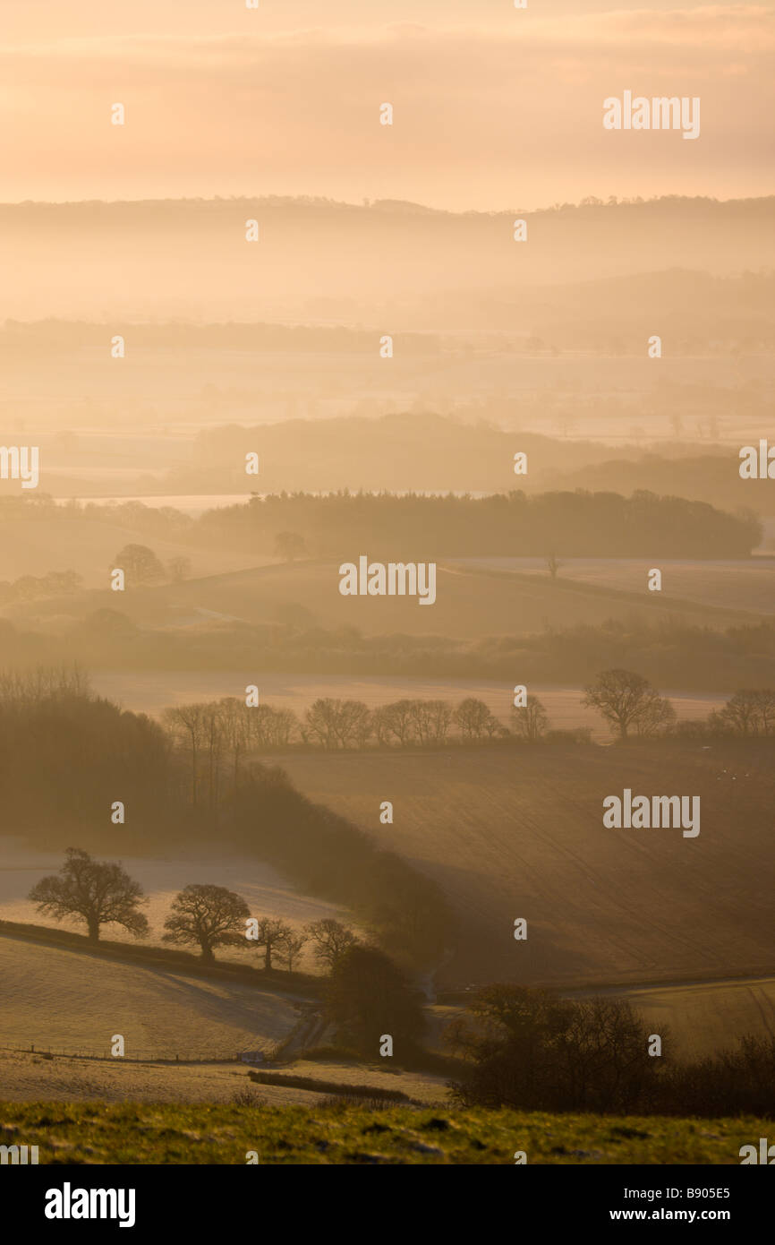 Sheep grazing on Raddon Hill overlooking frosty and misty countryside Mid Devon England Stock Photo