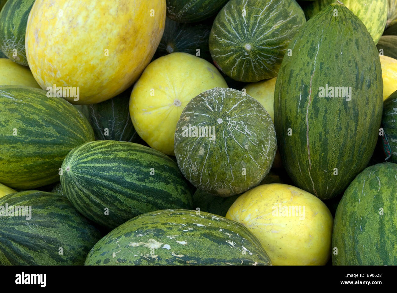 Juan canary melons hires stock photography and images Alamy