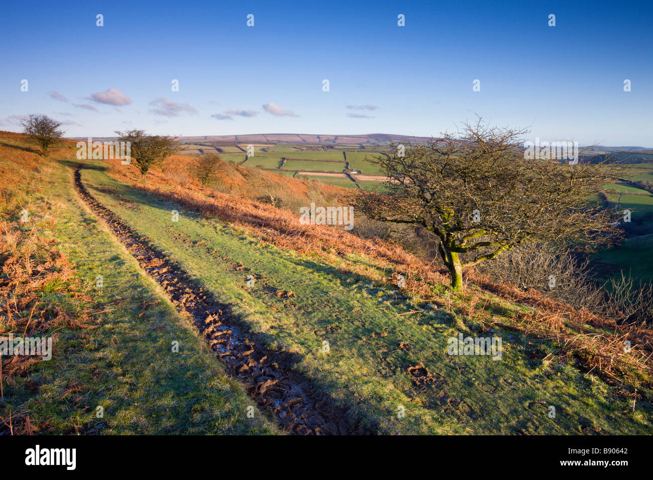 Bridleway on Winsford Hill Exmoor National Park Somerset England Stock Photo