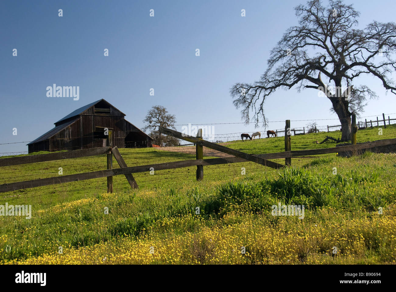 Country barn on a farm near Rock Creek Road in the Central Valley of Northern California Stock Photo