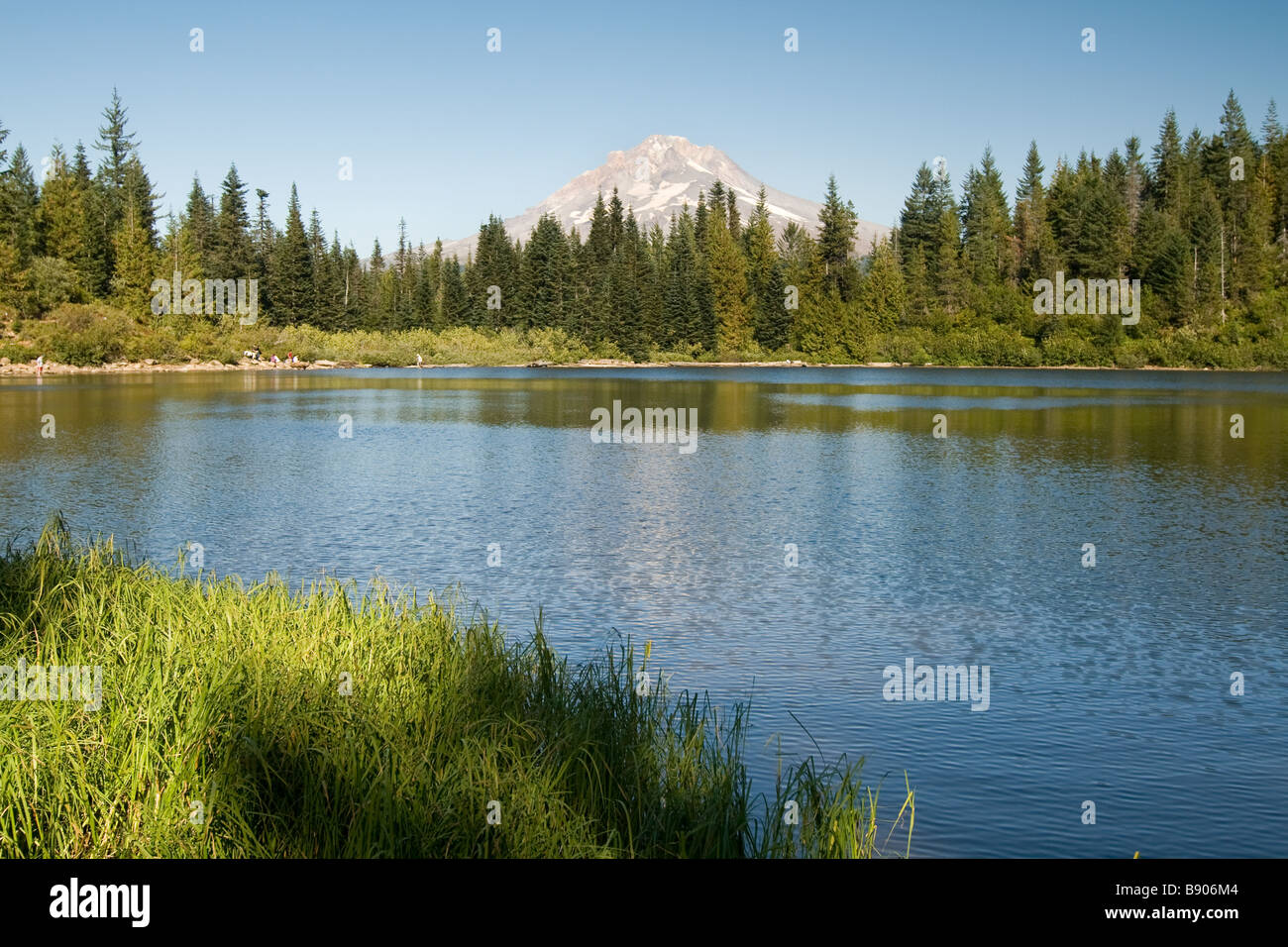 Mt hood mirror lake trail hires stock photography and images Alamy