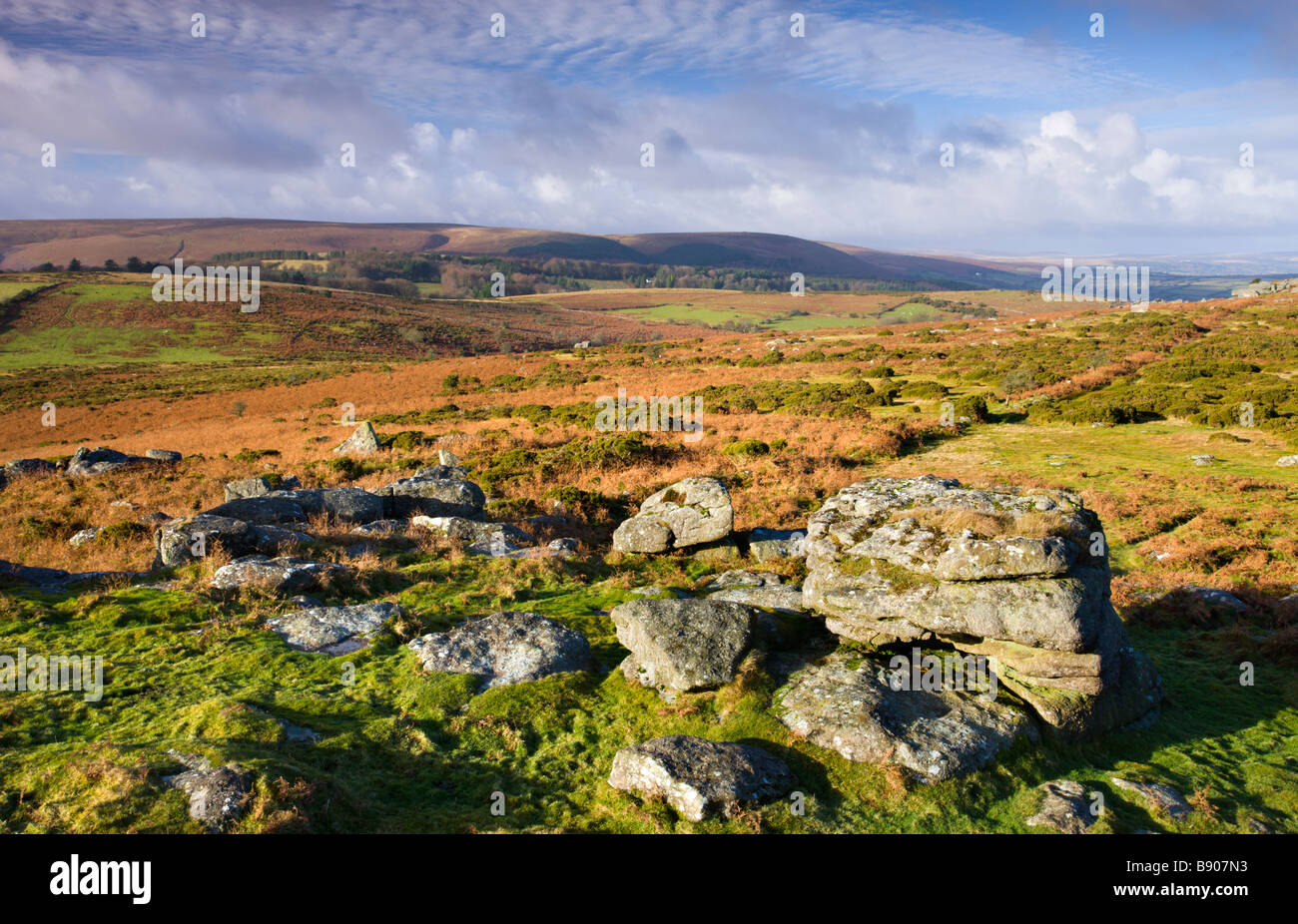 Granite boulders on Hayne Down Dartmoor National Park Devon England Stock Photo