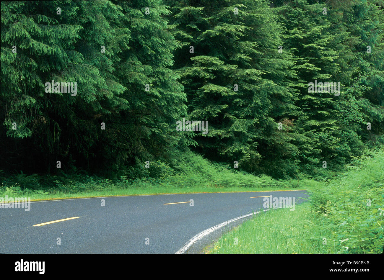 FL1079, BD Productions; Bending Country Road Stock Photo