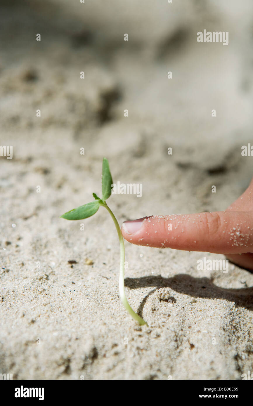 Human hand pointing finger growing hi-res stock photography and images ...