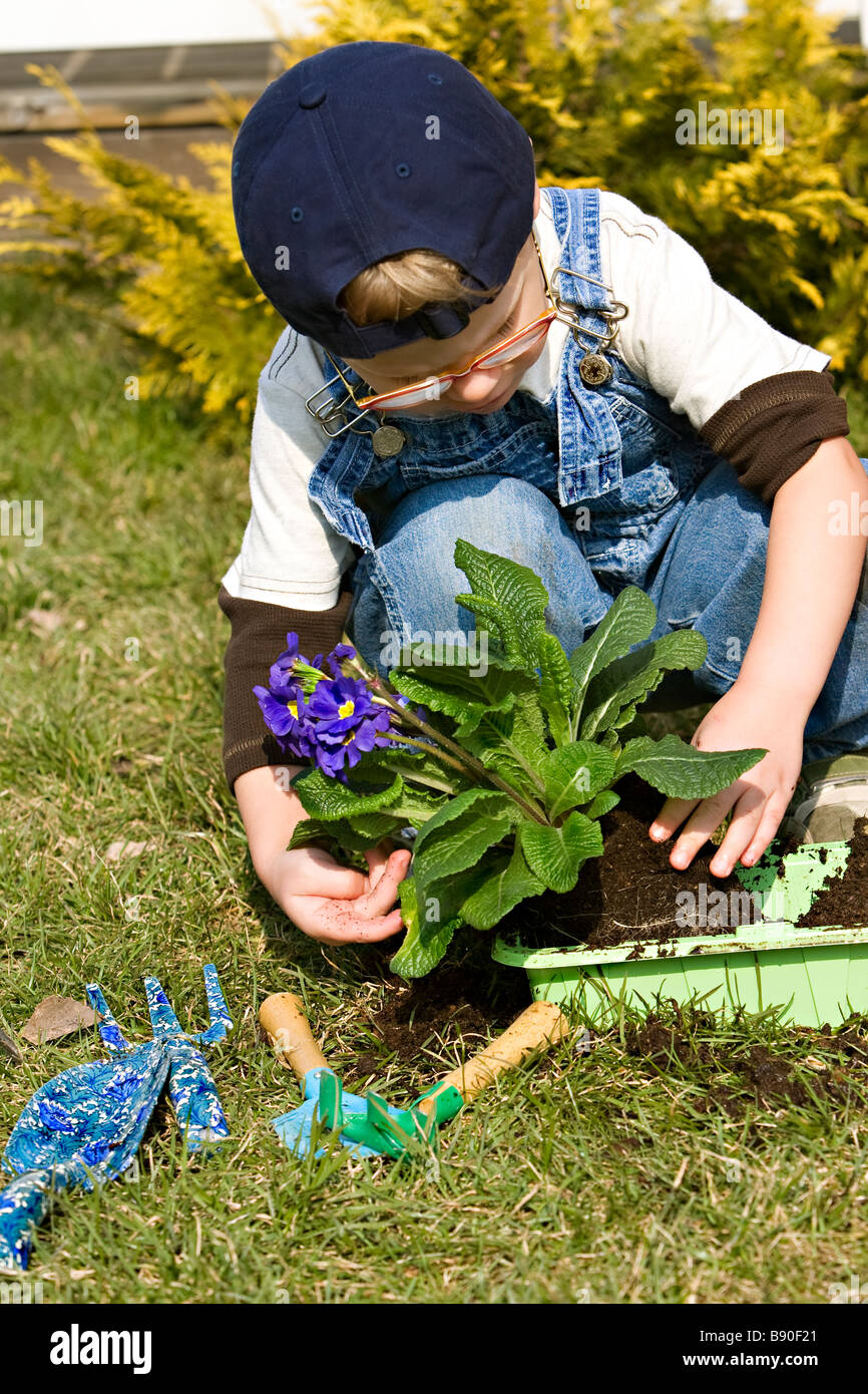 A boy planting flowers Sweden. Stock Photo