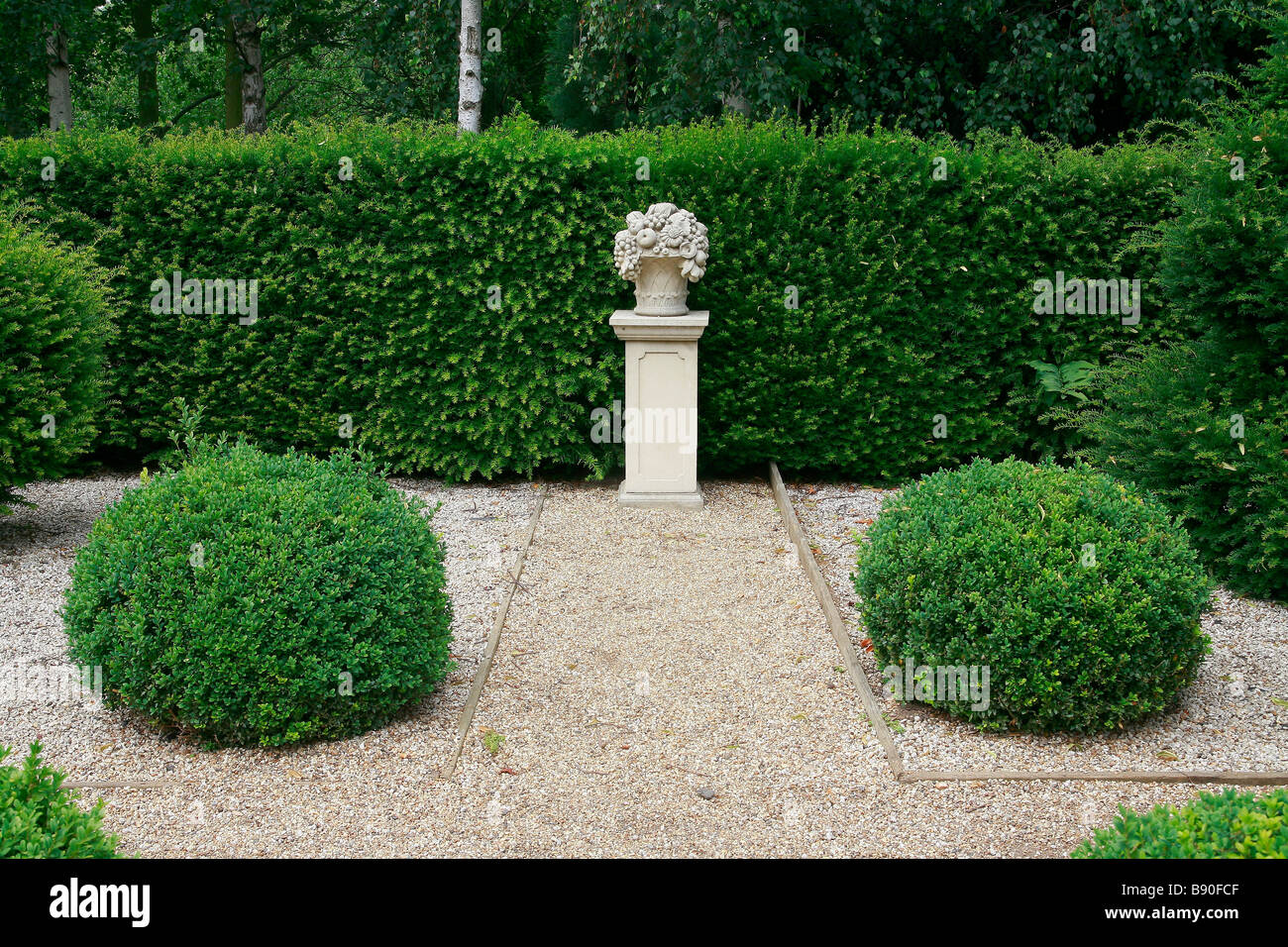 Buxus sempervirens and taxus baccata hi-res stock photography and images -  Alamy