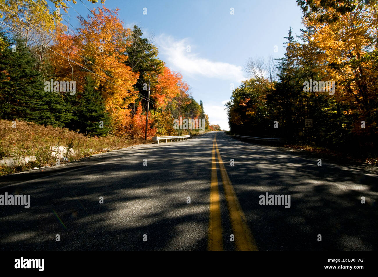 Foliage-lined road, Cadillac Mountain, Acadia National Park, Maine, New England, USA Stock Photo