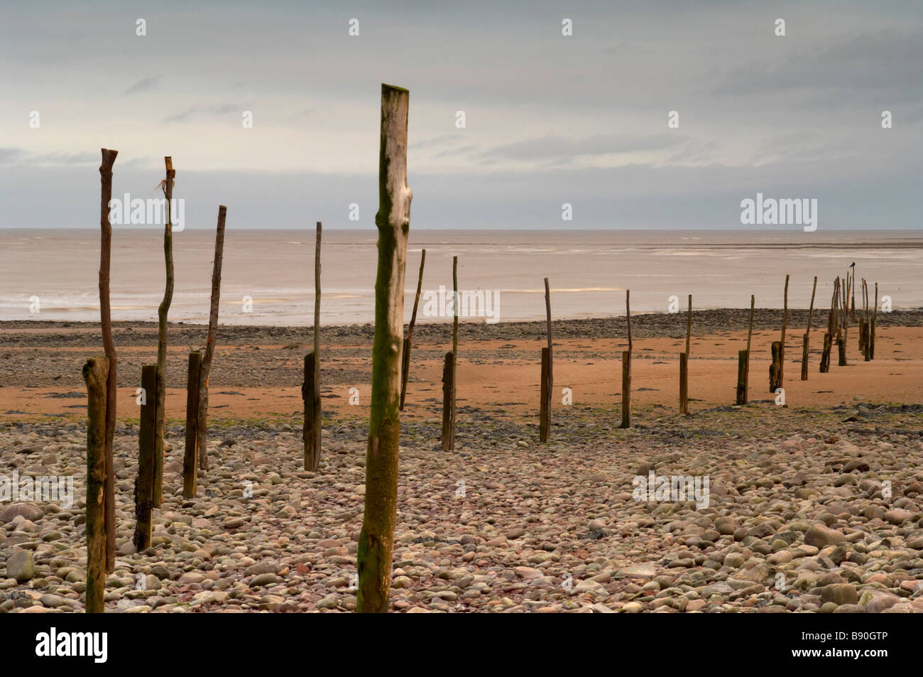 Tidal markers at low tide on the beach at Minehead at dusk Exmoor Somerset UK Stock Photo