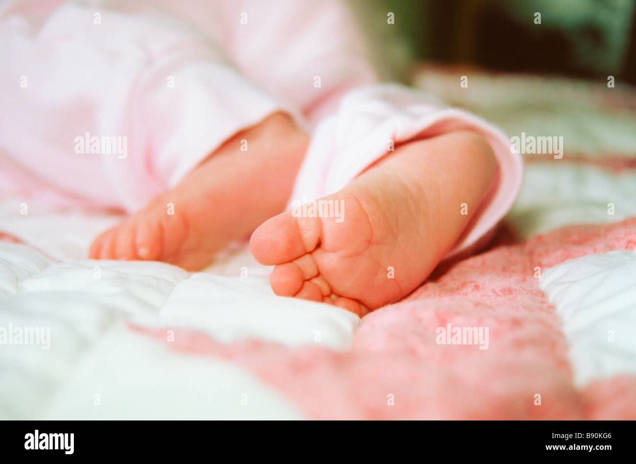 FV3995, Silver Parrot ; Baby Feet Stock Photo