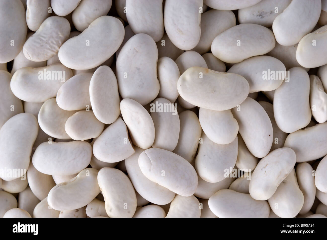 white haricot beans background Stock Photo Alamy