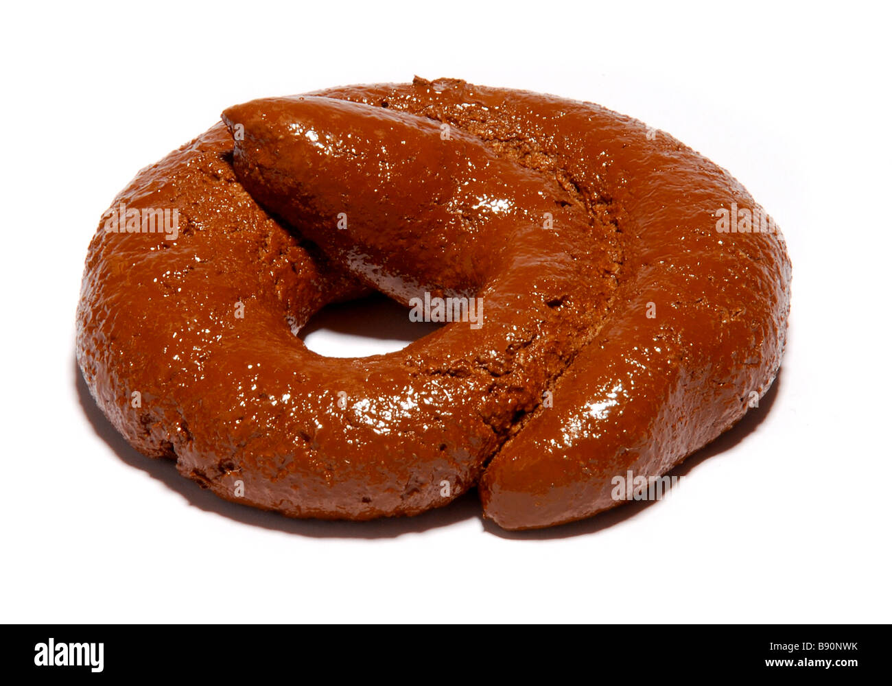 A fake or joke turd or poo. Picture by Paddy McGuinness paddymcguinness Stock Photo