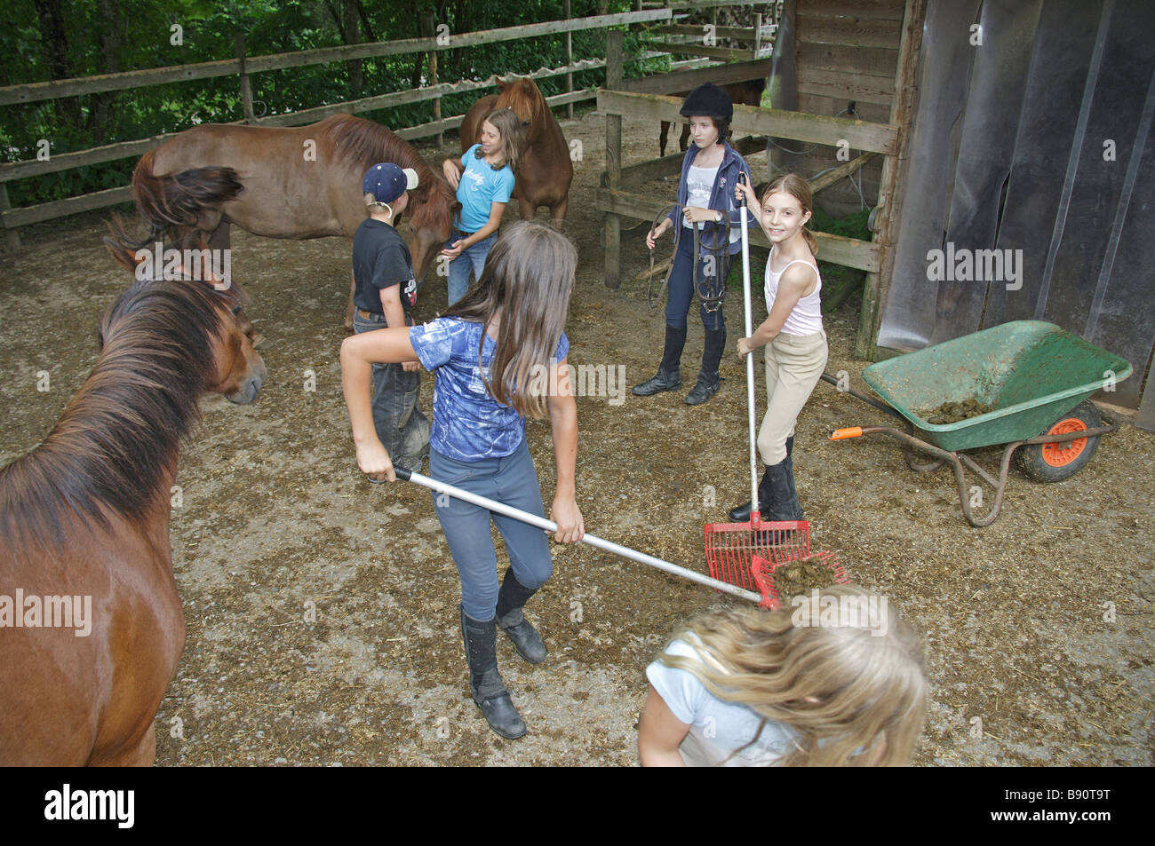 girls mucking out a horse stable Stock Photo Alamy