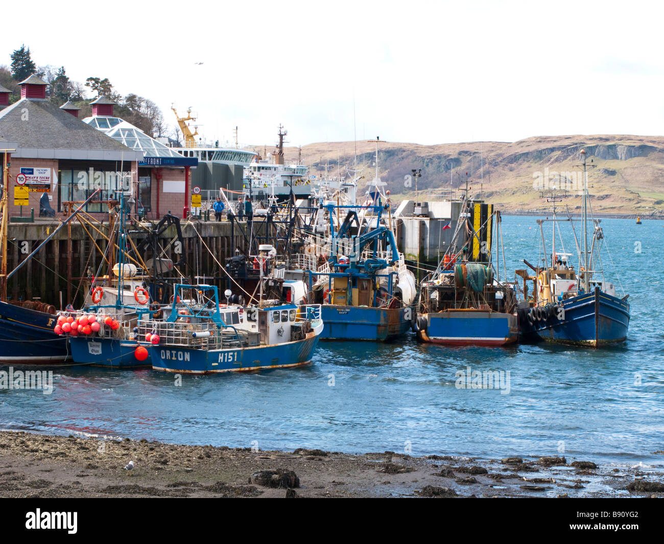 Fishing boats in Oban harbour Stock Photo