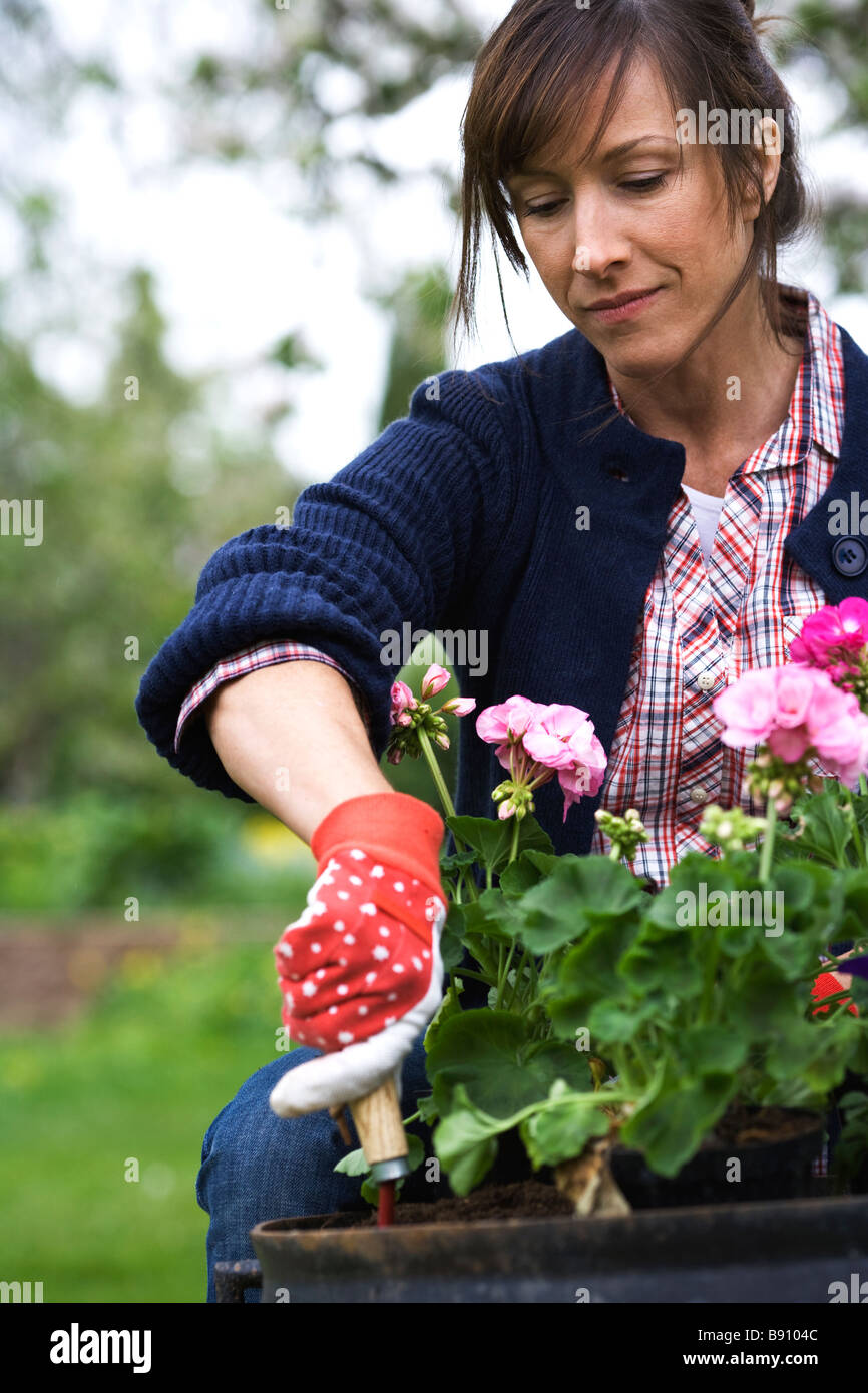 Portrait of a woman setting flowers in a pot. Stock Photo