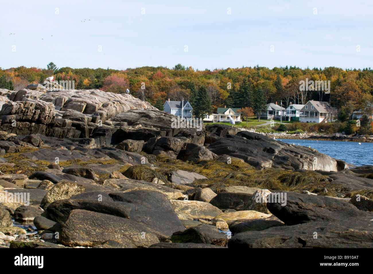 Maine's rugged coastline - Deer Isle, Maine Stock Photo