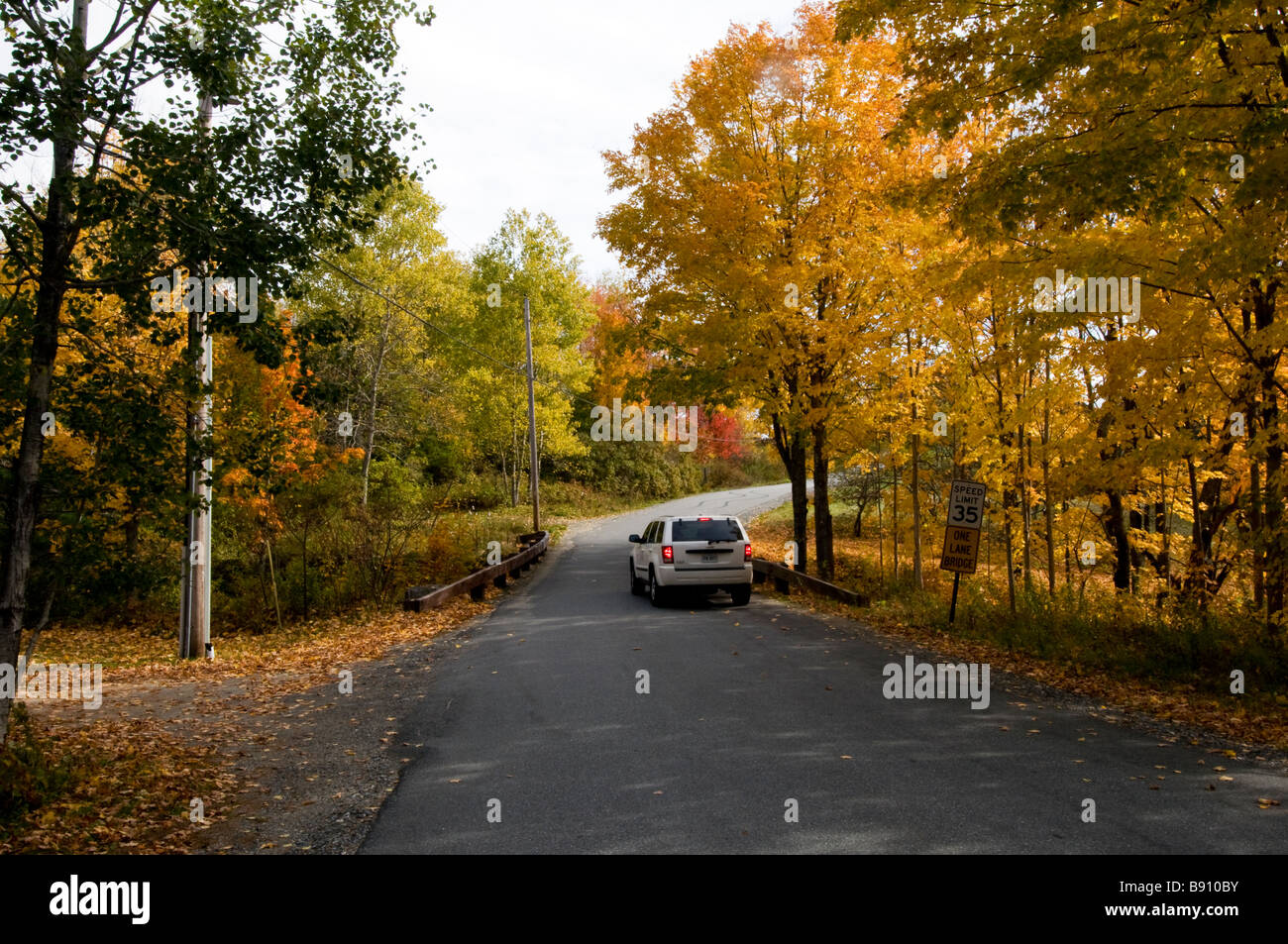 Foliage-lined road, Deer Isle, Maine Stock Photo