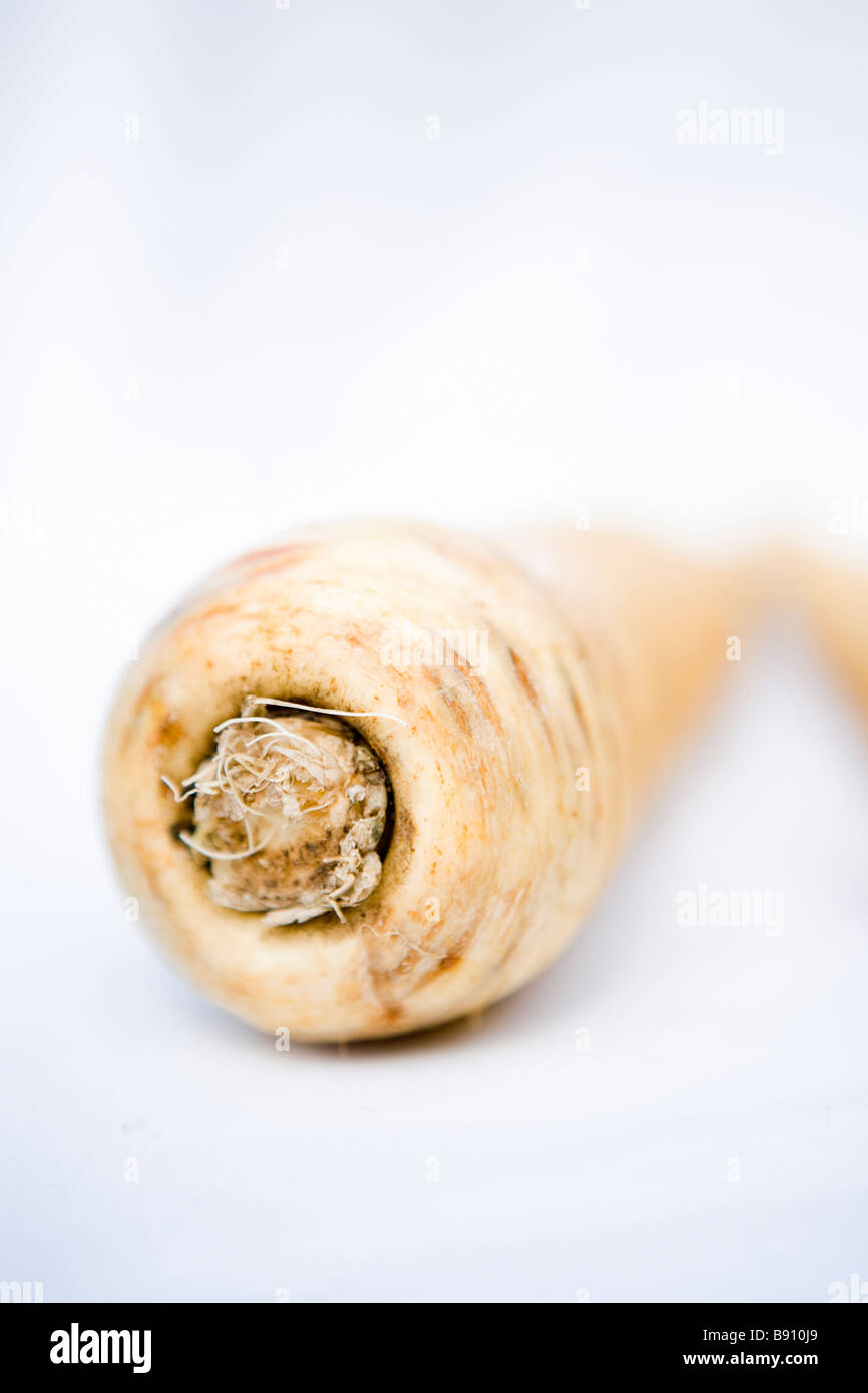 Parsnip against white background. Stock Photo