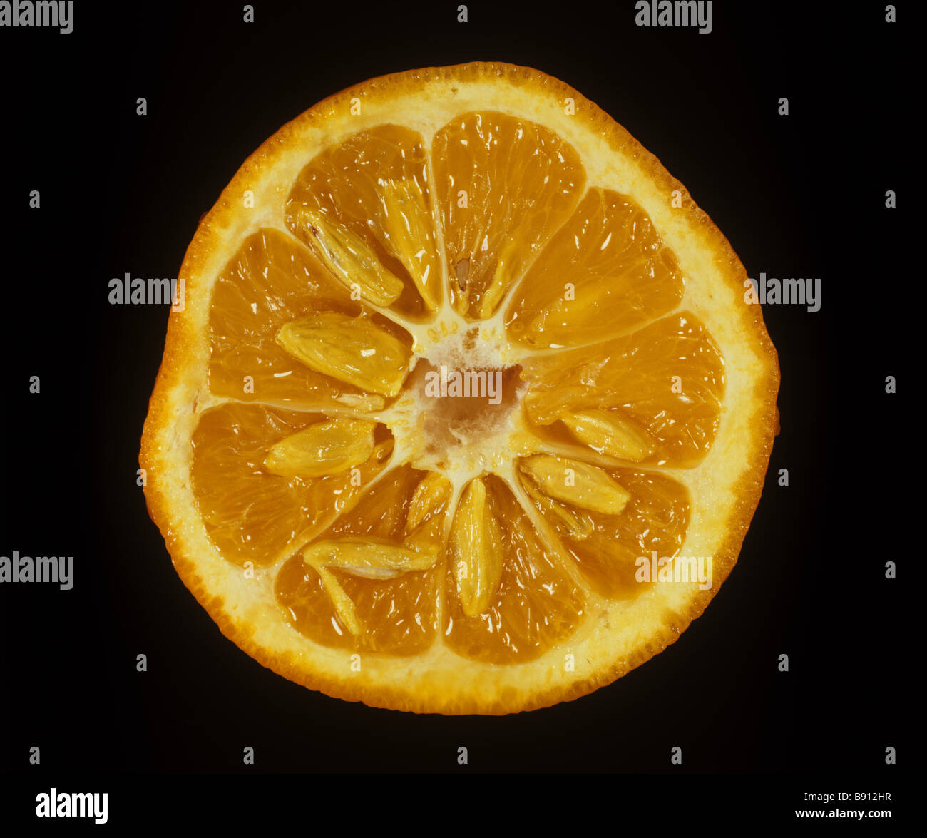 Orange Citrus aurantium Seville sour sectioned fruit and pips on a black background Stock Photo