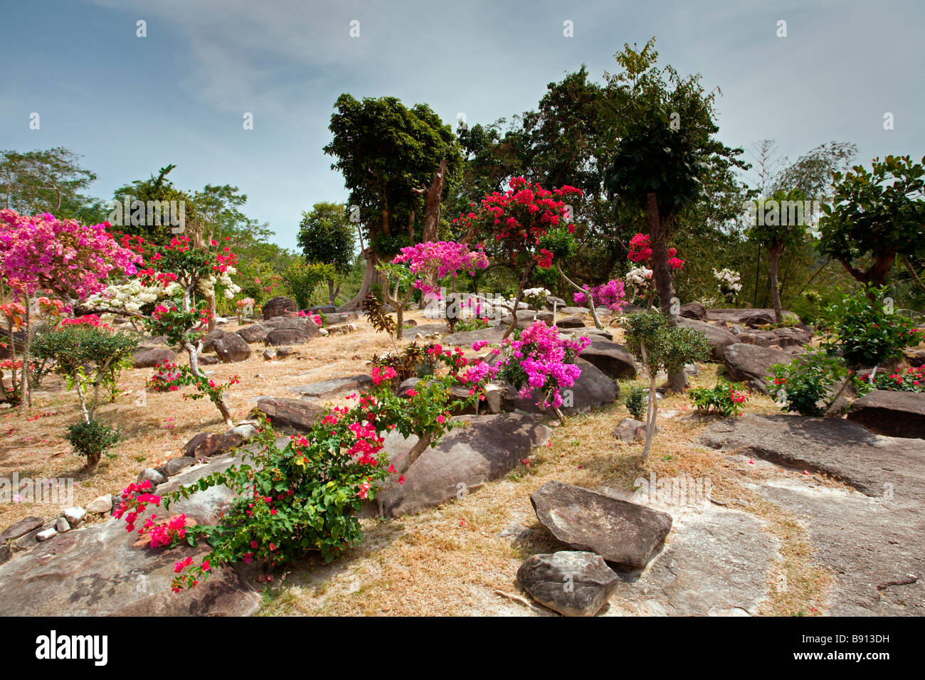 Thailand: Phi-Phi Don: Viewpoint Garden Stock Photo