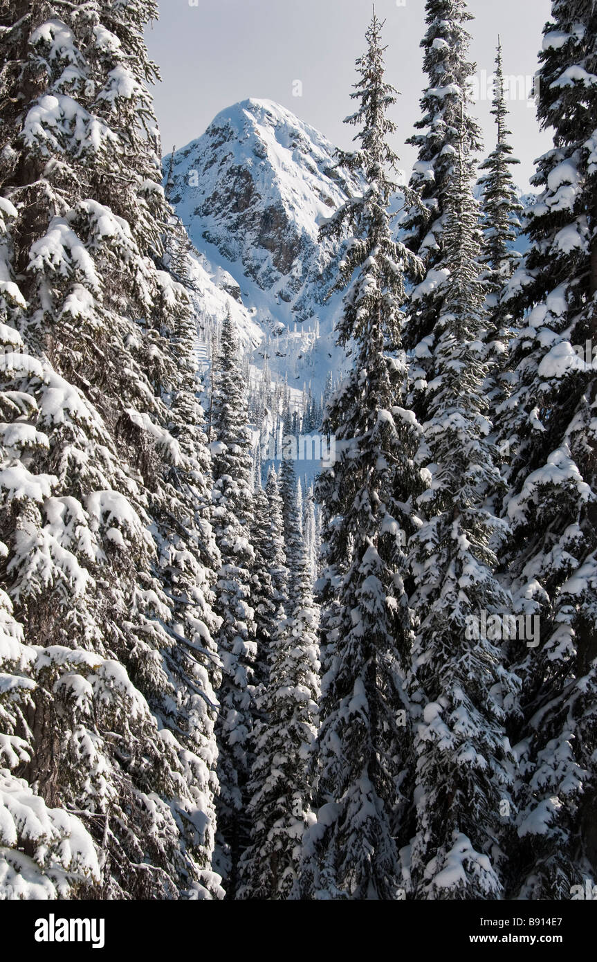 Mount Mackenzie above the North Bowl, Revelstoke Mountain Resort