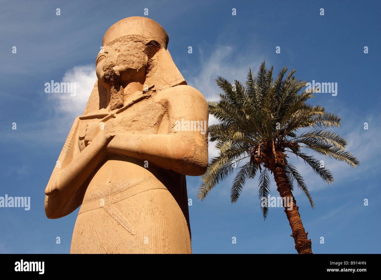 Colossal stone carved statue of Pharaoh Ramses II and tall palm tree ...