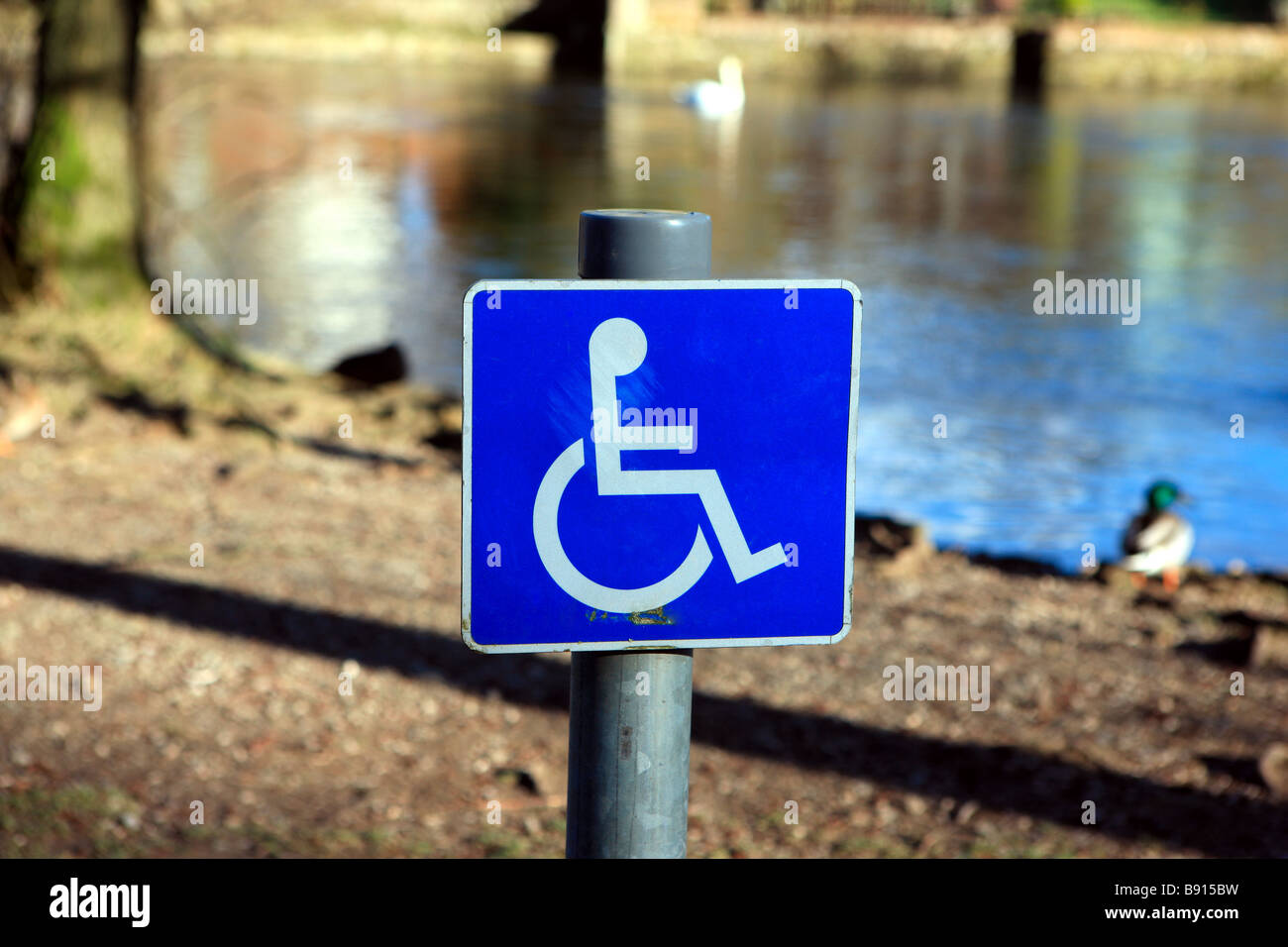 Disabled parking sign Stock Photo