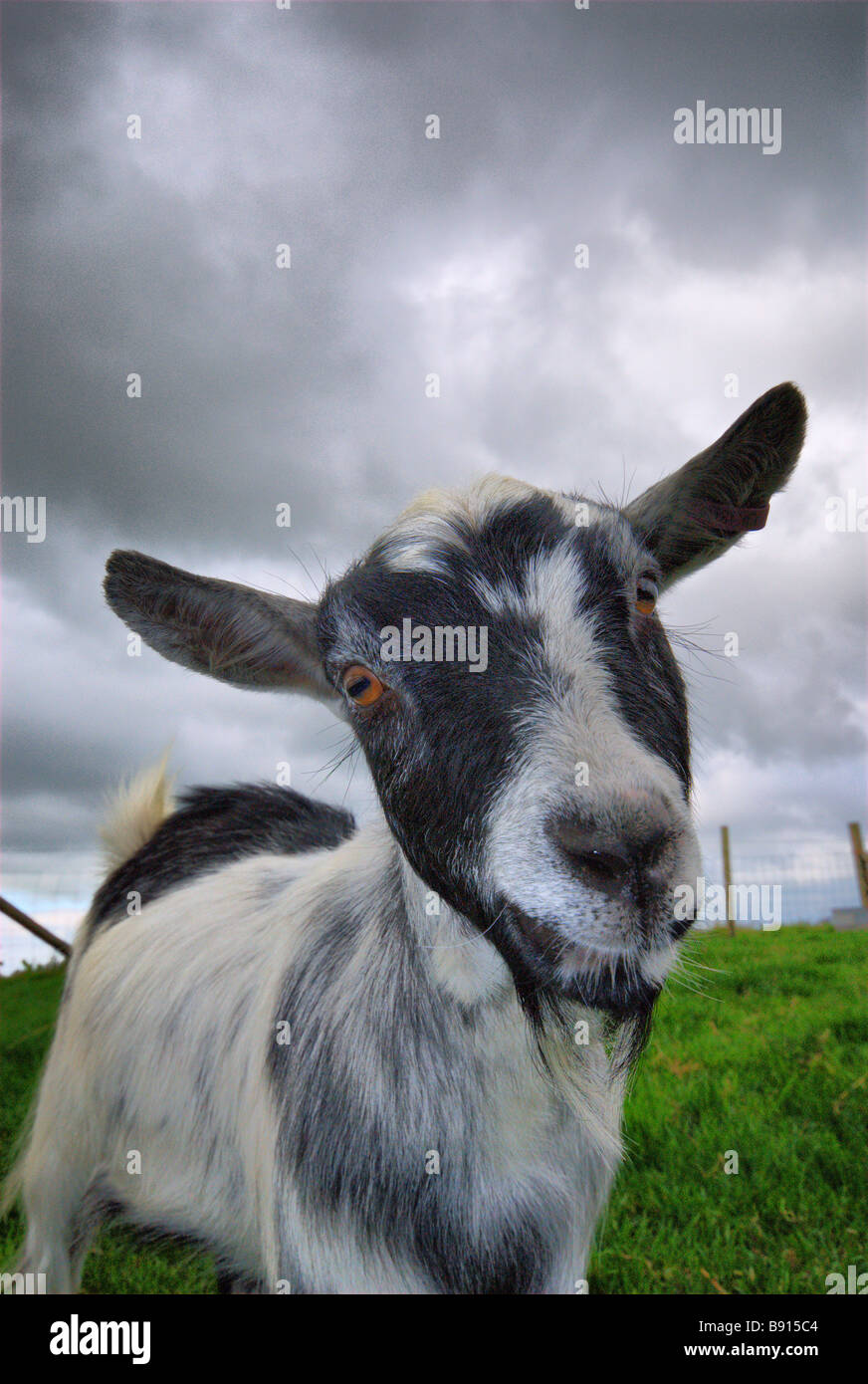 Hdr hi-res stock photography and images - Alamy