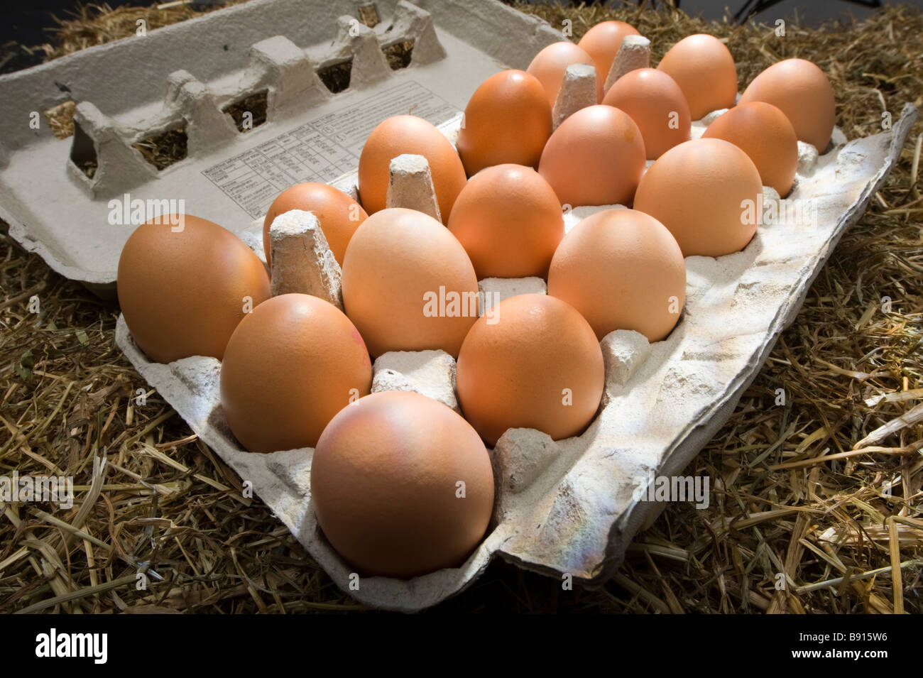 18 brown free-range chicken eggs in a carton on a straw background Stock Photo