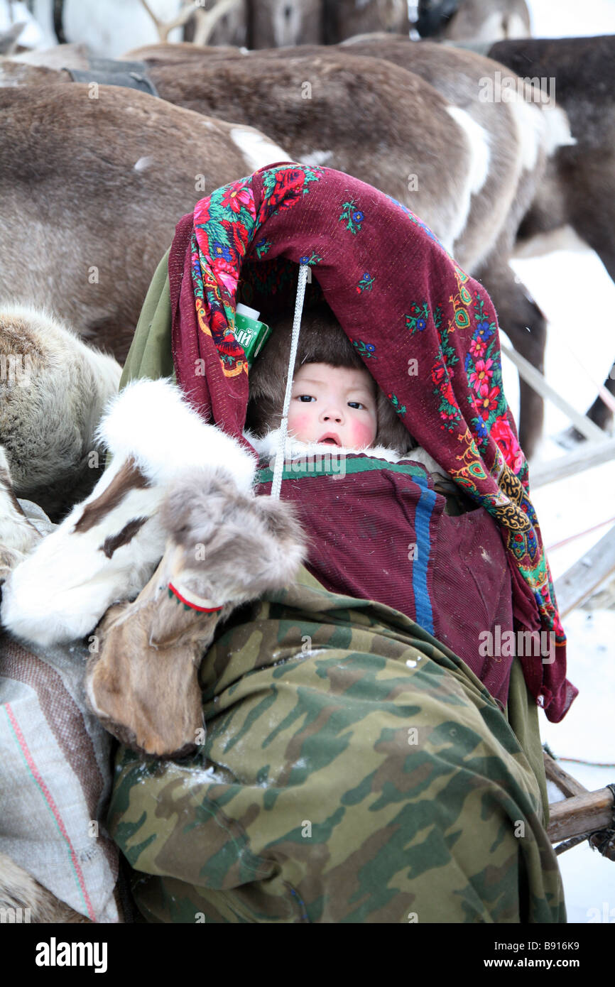 Nenets Child And Reindeers. Russia. Yamal Region. Winter Stock Photo ...