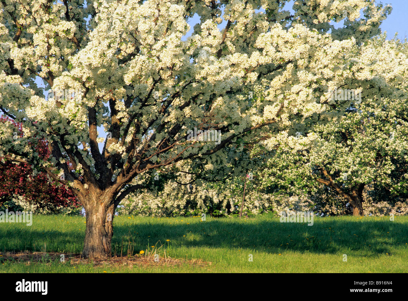 University Of Minnesota Landscape Arboretum High Resolution Stock
