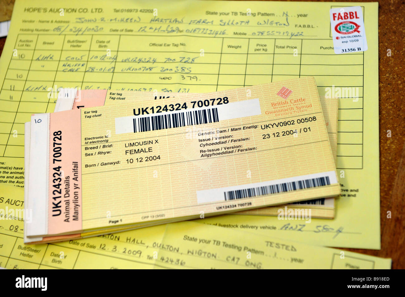 Cattle movement passports an entry forms at a livestock auction mart