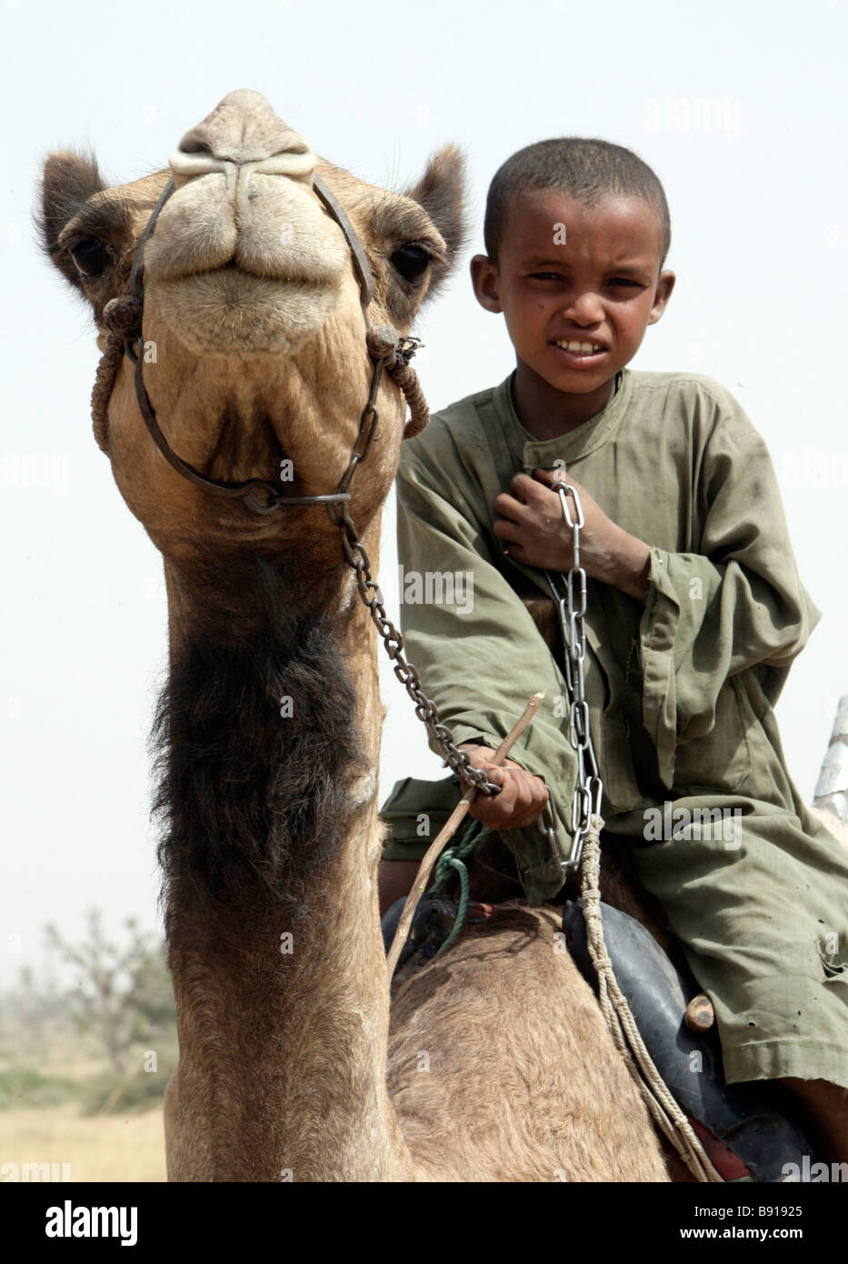 Nigeria: young nomad boy riding on the back of his camel Stock Photo
