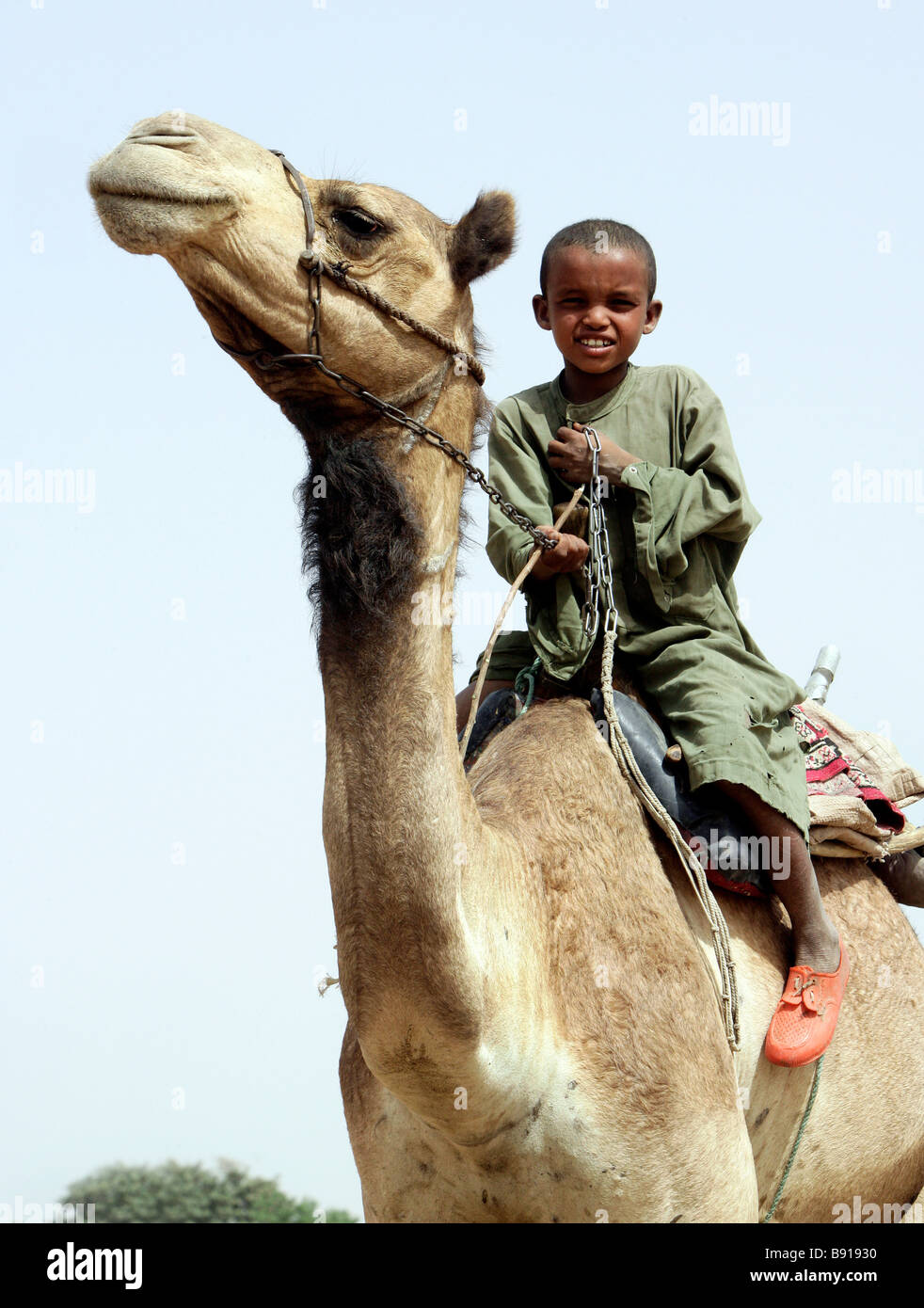 Nigeria: young nomad boy riding on the back of his camel Stock Photo