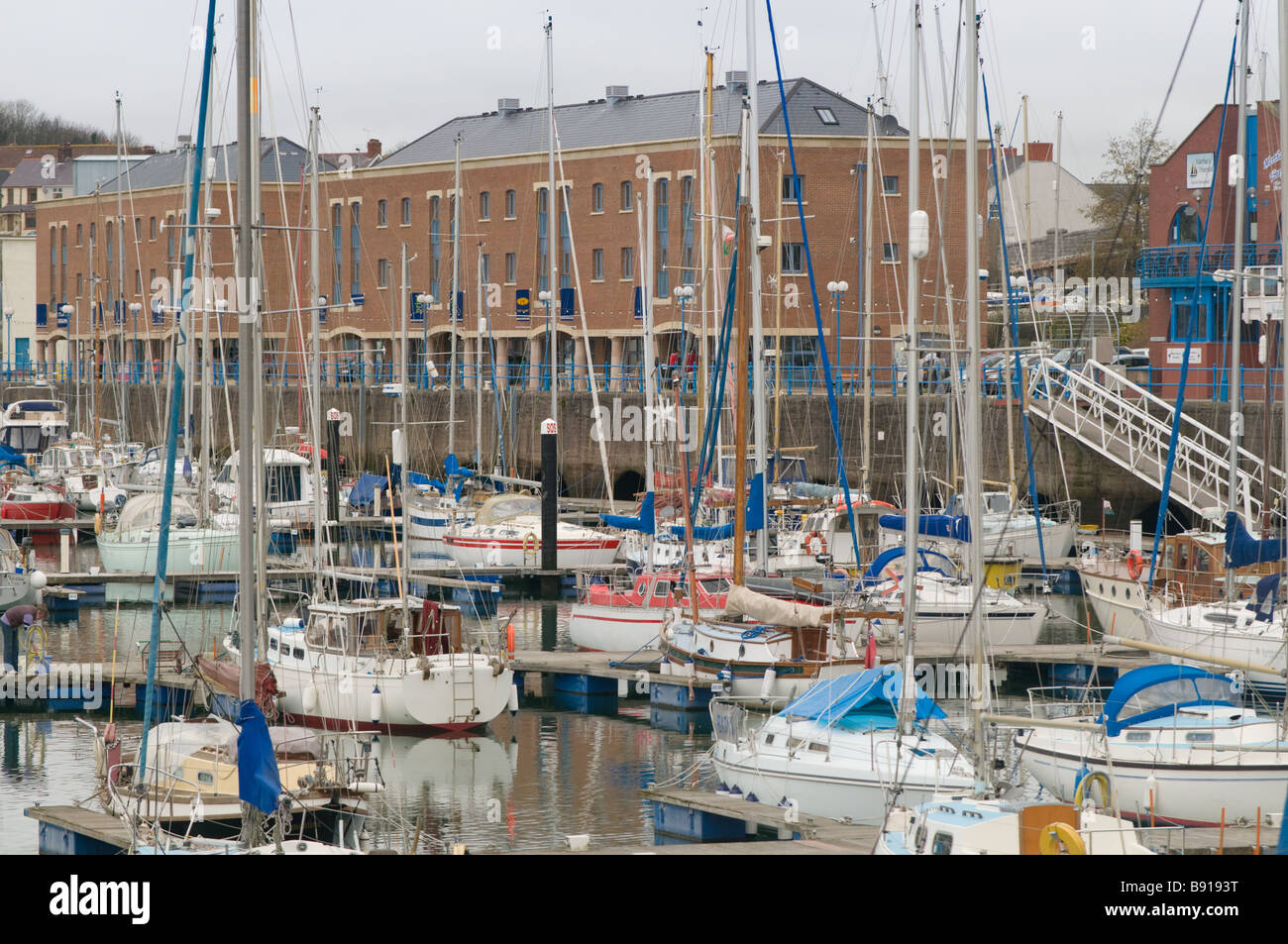 Yachts in the renovated and redeveloped marina harbour at Milford Haven Pembrokeshire Wales UK Stock Photo