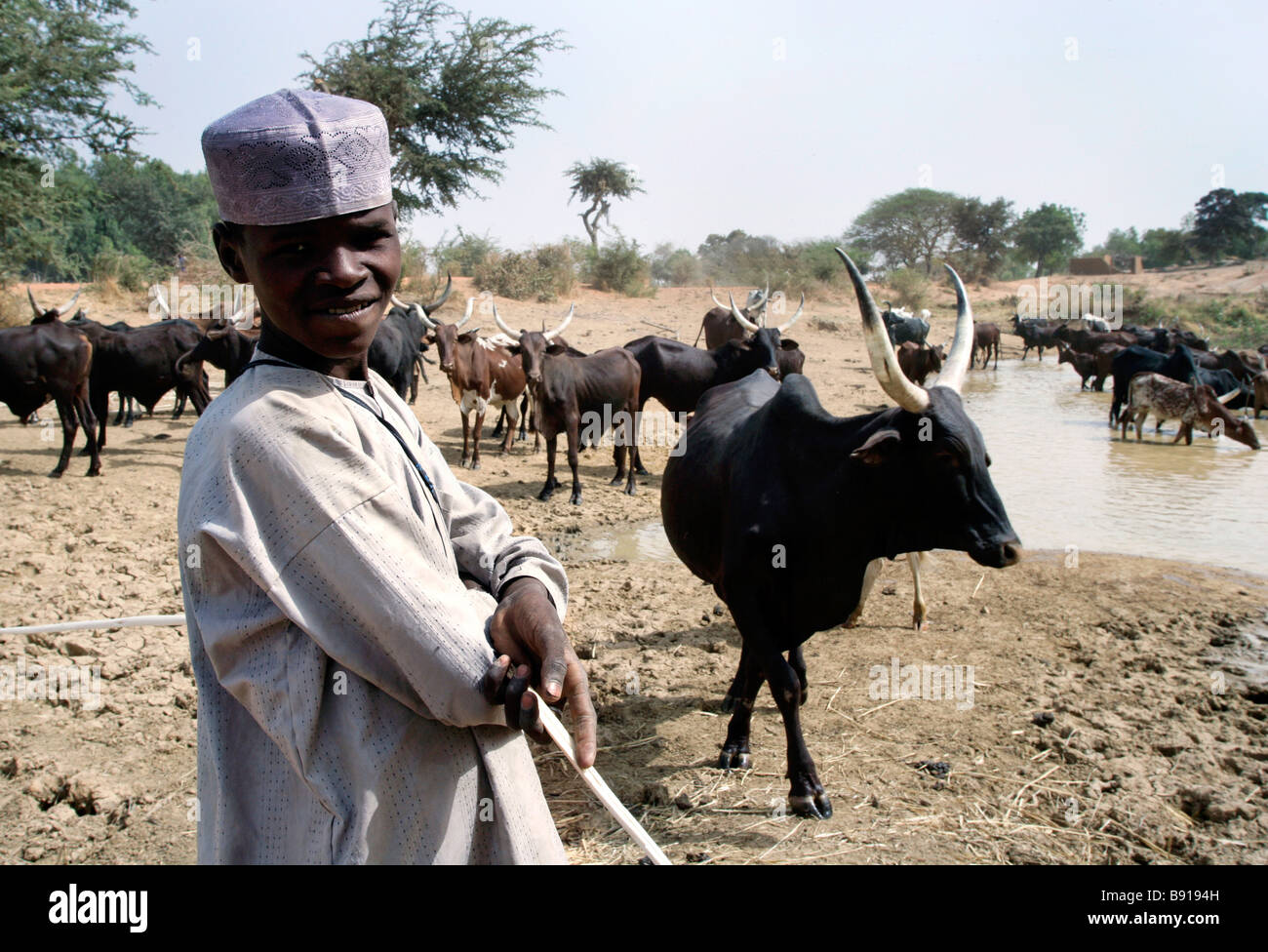 Nigeria: young herdsman with his animals at a watering place Stock Photo