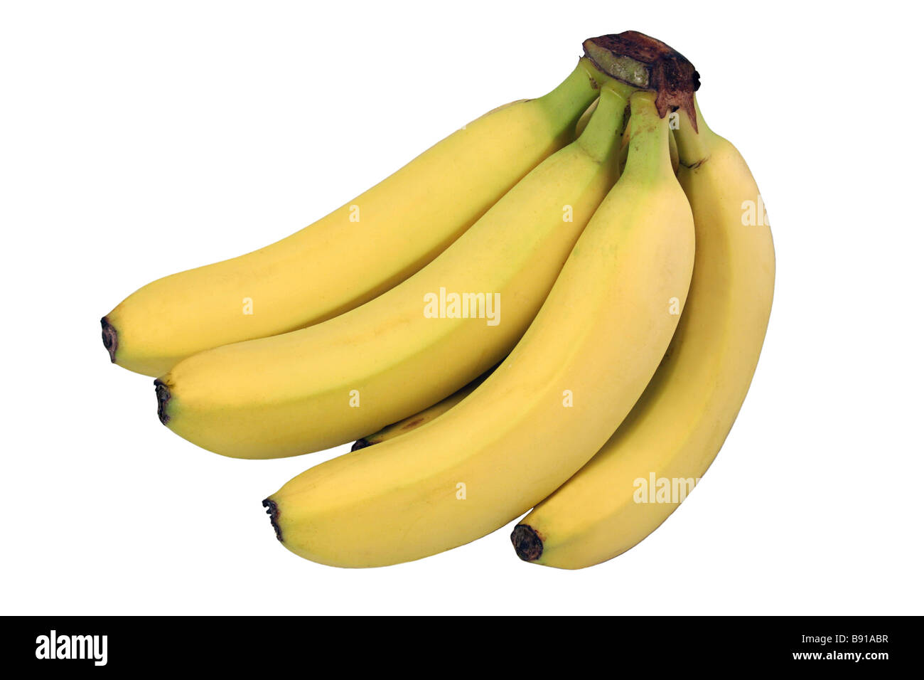 A perfect flawless bunch of bananas isolated on white Stock Photo