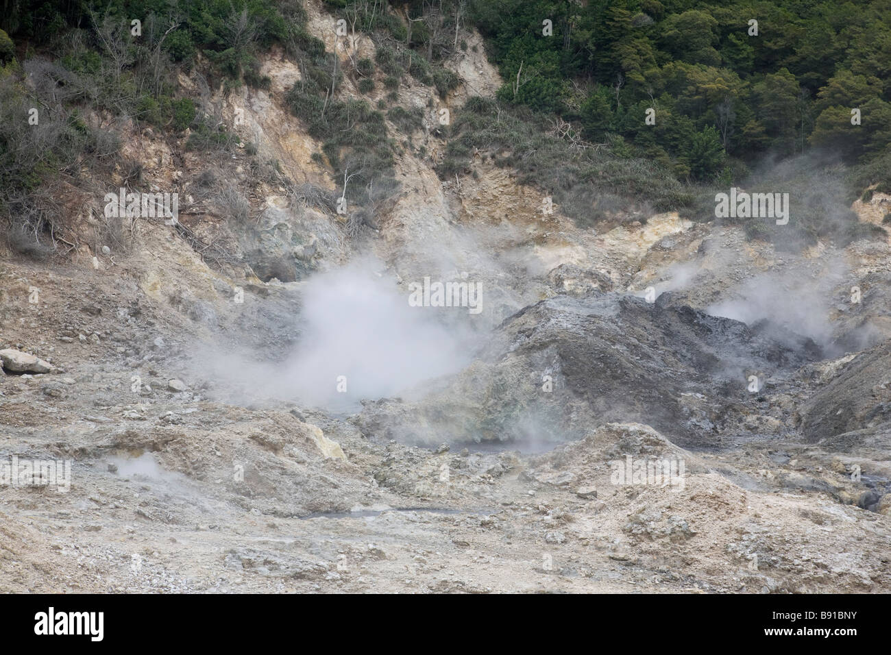 The volcano at Soufriere, St Lucia Stock Photo Alamy