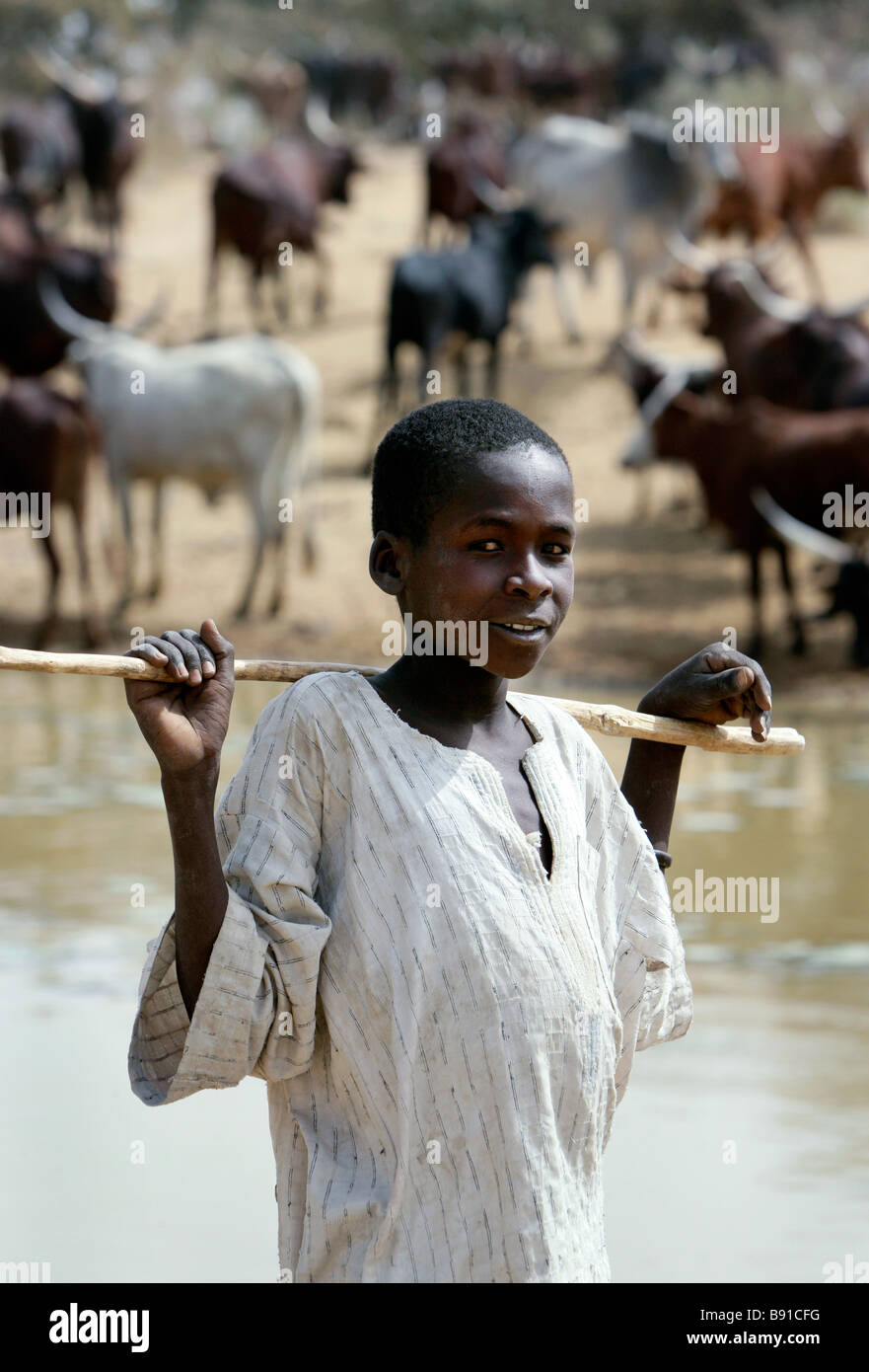 Nigeria: young herdsman with his animals at a watering place Stock Photo