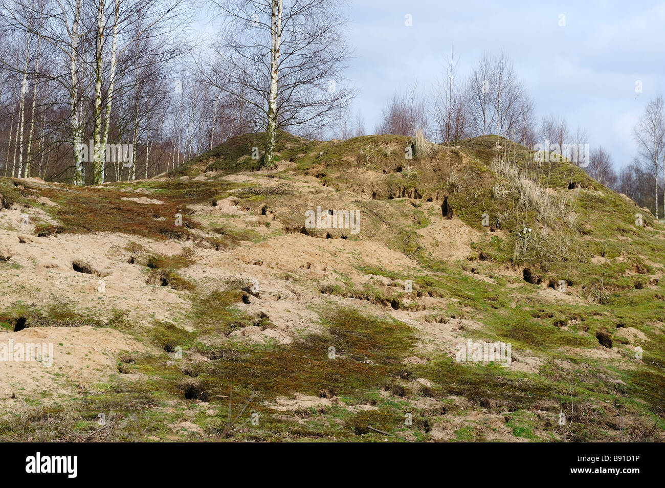 Rabbit warren hires stock photography and images Alamy